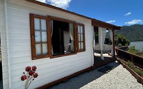 The Petite Suite